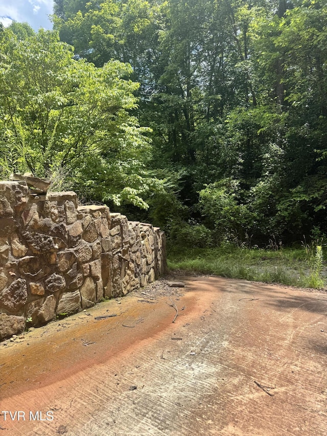5394 Snake Hollow Rd, Sneedville, TN 37869 - photo 32