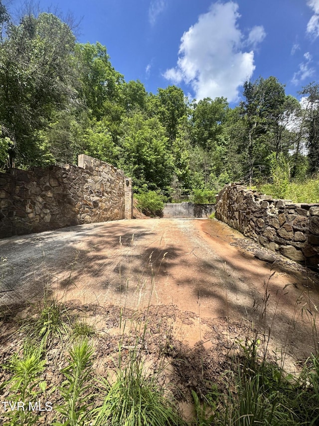 5394 Snake Hollow Rd, Sneedville, TN 37869 - photo 36