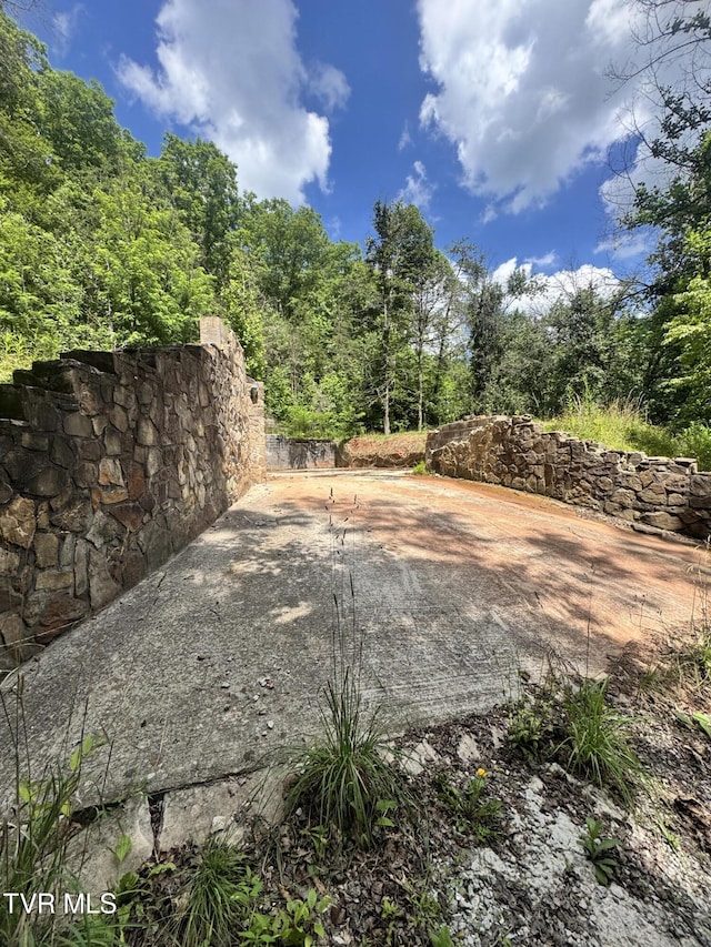 5394 Snake Hollow Rd, Sneedville, TN 37869 - photo 37