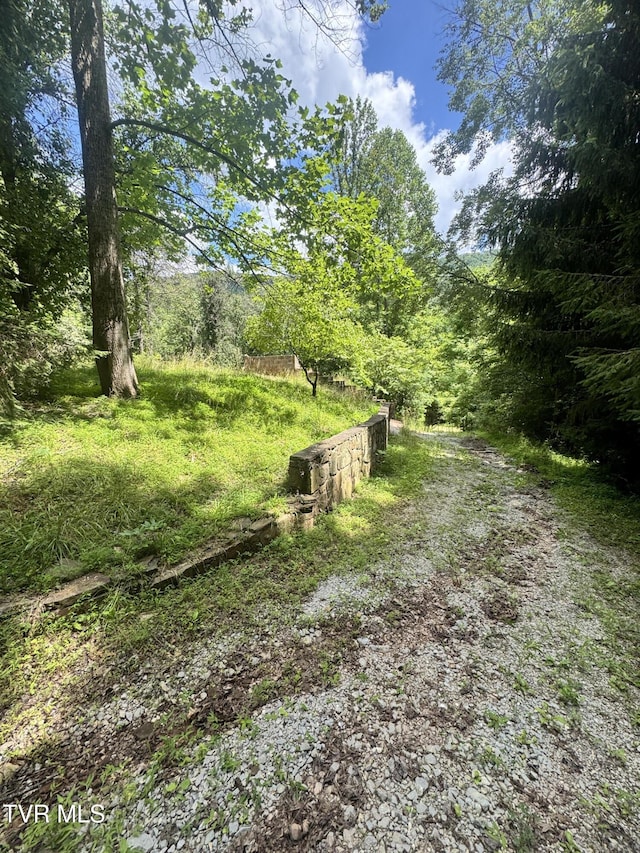 5394 Snake Hollow Rd, Sneedville, TN 37869 - photo 39