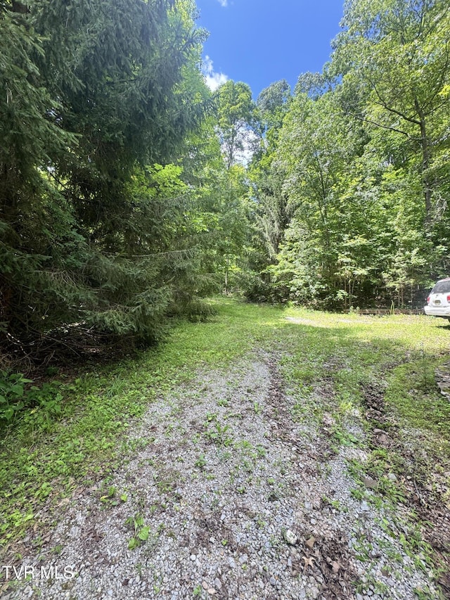 5394 Snake Hollow Rd, Sneedville, TN 37869 - photo 40