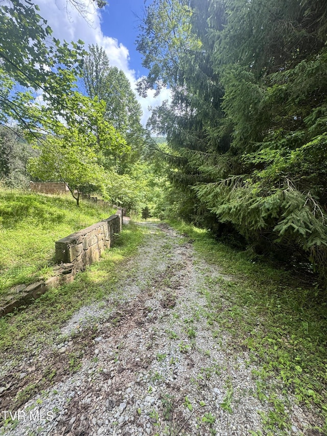 5394 Snake Hollow Rd, Sneedville, TN 37869 - photo 42