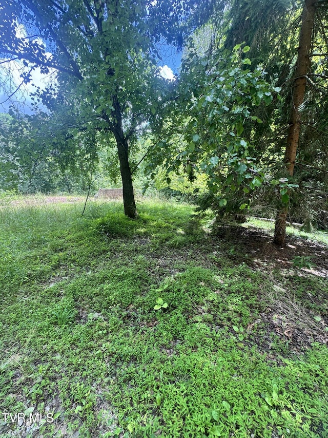 5394 Snake Hollow Rd, Sneedville, TN 37869 - photo 43