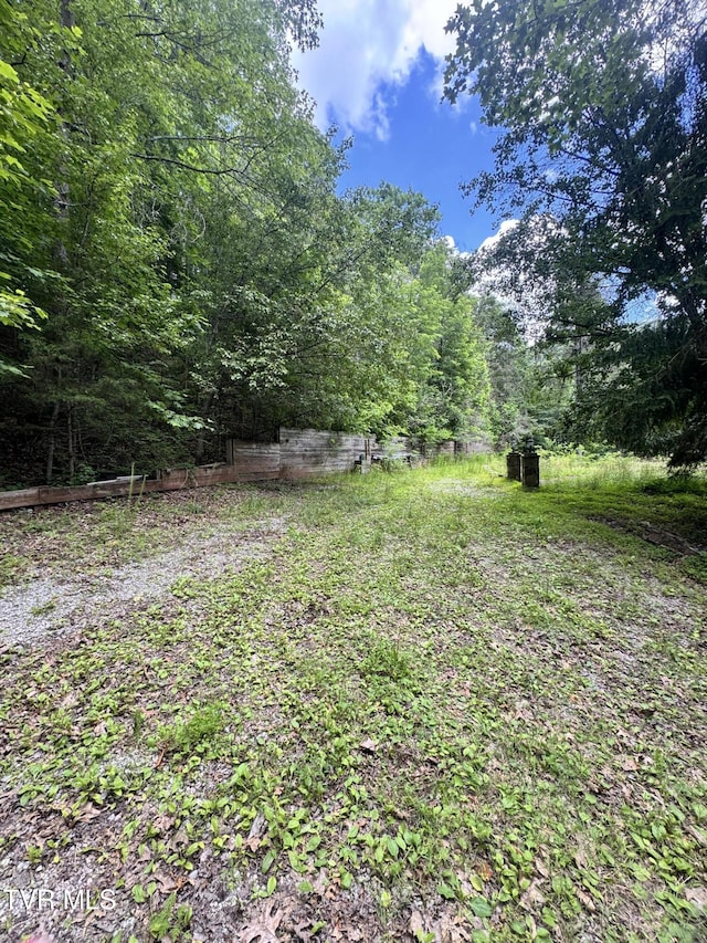 5394 Snake Hollow Rd, Sneedville, TN 37869 - photo 44