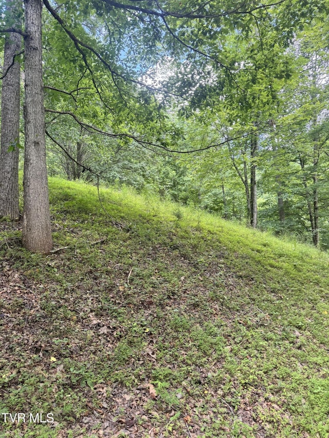 5394 Snake Hollow Rd, Sneedville, TN 37869 - photo 45