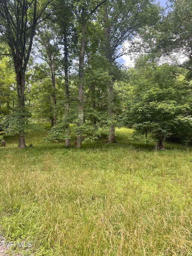 5394 Snake Hollow Rd, Sneedville, TN 37869 - photo 48