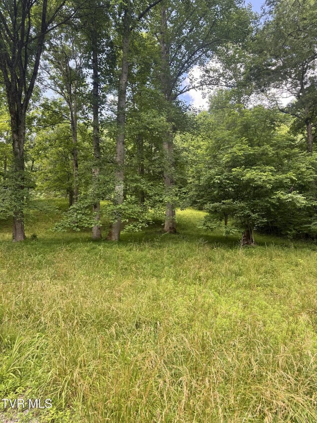 5394 Snake Hollow Rd, Sneedville, TN 37869 - photo 49