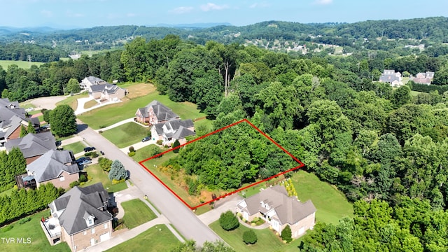 160 Sugarcane Ln, Blountville, TN 37617 - photo 1