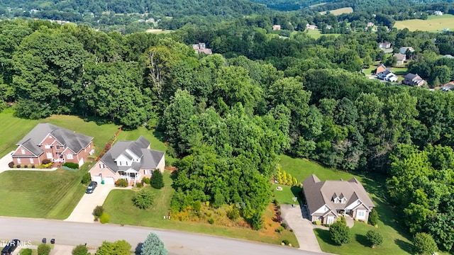 160 Sugarcane Ln, Blountville, TN 37617 - photo 4