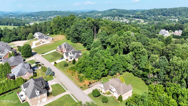 160 Sugarcane Ln, Blountville, TN 37617 - photo 7