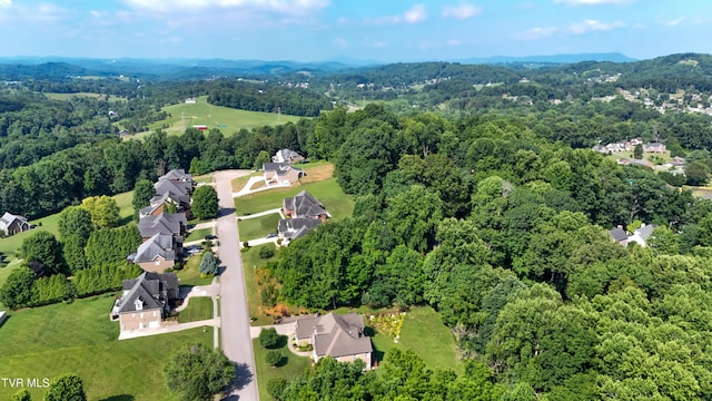 160 Sugarcane Ln, Blountville, TN 37617 - photo 8