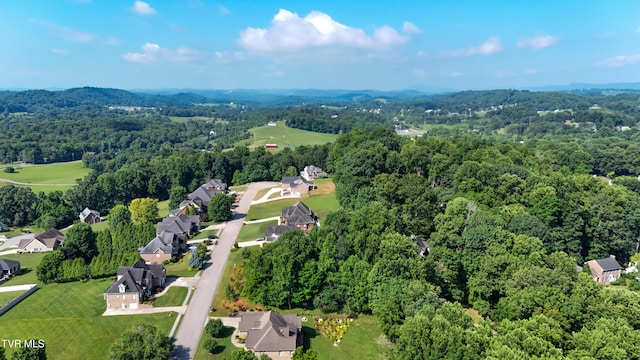 160 Sugarcane Ln, Blountville, TN 37617 - photo 9