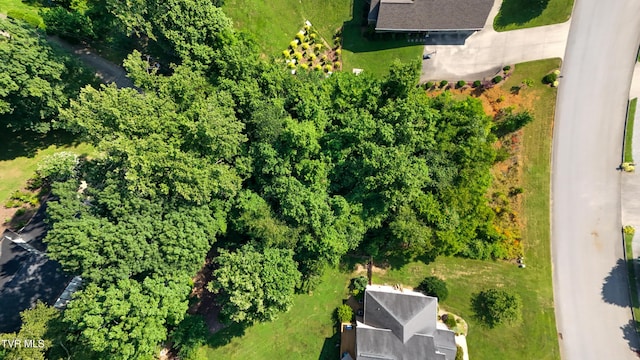 160 Sugarcane Ln, Blountville, TN 37617 - photo 6