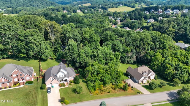 160 Sugarcane Ln, Blountville, TN 37617 - photo 3