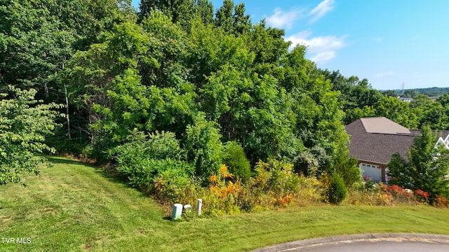 160 Sugarcane Ln, Blountville, TN 37617 - photo 2
