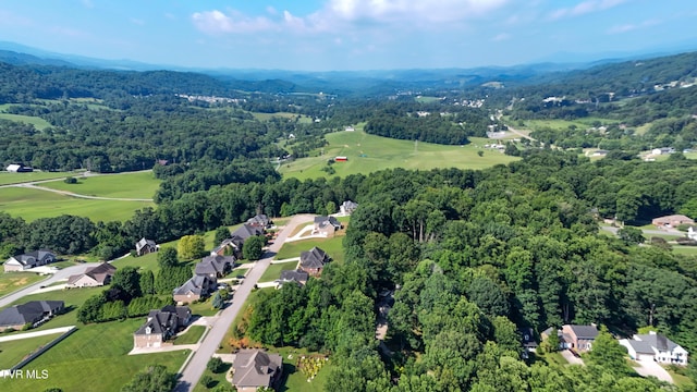 160 Sugarcane Ln, Blountville, TN 37617 - photo 18