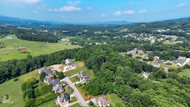 160 Sugarcane Ln, Blountville, TN 37617 - photo 19