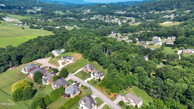 160 Sugarcane Ln, Blountville, TN 37617 - photo 20