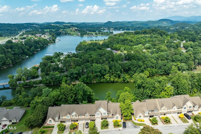 321 Coldwater Dr Unit 321, Johnson City, TN 37601 - photo 3