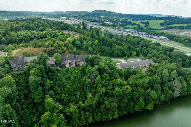 321 Coldwater Dr Unit 321, Johnson City, TN 37601 - photo 52