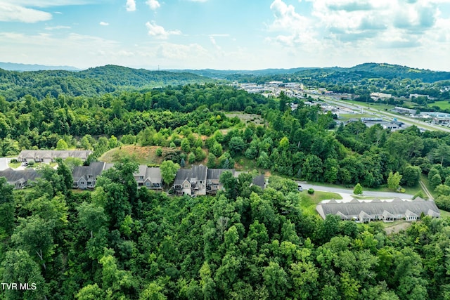 321 Coldwater Dr Unit 321, Johnson City, TN 37601 - photo 53