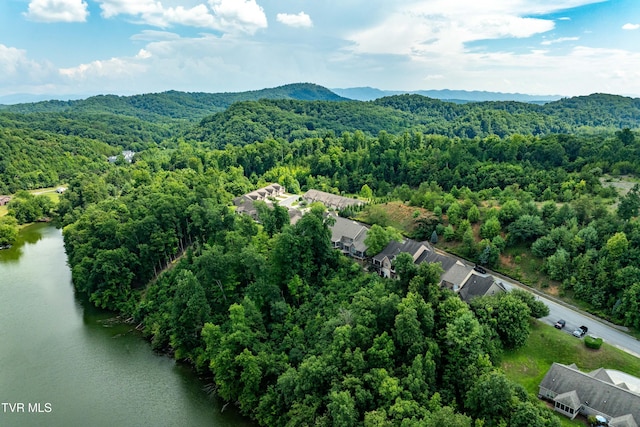 321 Coldwater Dr Unit 321, Johnson City, TN 37601 - photo 54