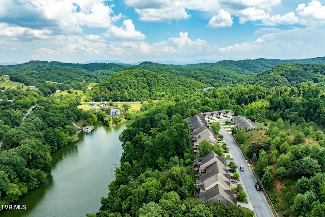 321 Coldwater Dr Unit 321, Johnson City, TN 37601 - photo 4