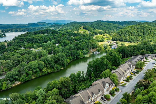 321 Coldwater Dr Unit 321, Johnson City, TN 37601 - photo 55