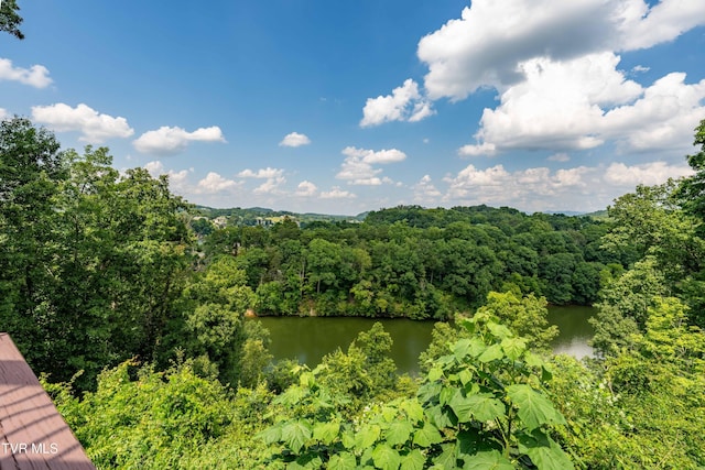 321 Coldwater Dr Unit 321, Johnson City, TN 37601 - photo 48