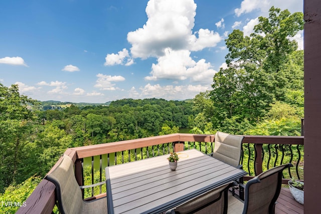 321 Coldwater Dr Unit 321, Johnson City, TN 37601 - photo 44