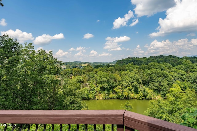 321 Coldwater Dr Unit 321, Johnson City, TN 37601 - photo 46