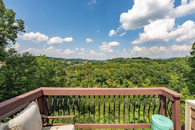 321 Coldwater Dr Unit 321, Johnson City, TN 37601 - photo 27