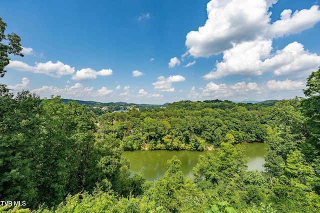 321 Coldwater Dr Unit 321, Johnson City, TN 37601 - photo 47