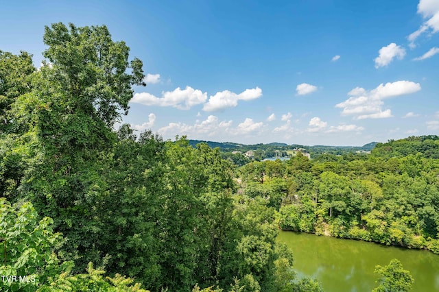 321 Coldwater Dr Unit 321, Johnson City, TN 37601 - photo 60