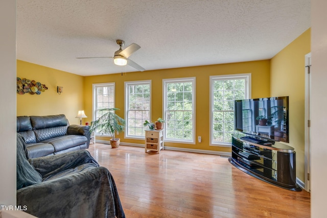691 Willowcrest Pl, Kingsport, TN 37660 - photo 18