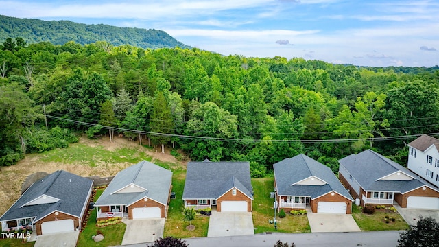 691 Willowcrest Pl, Kingsport, TN 37660 - photo 39