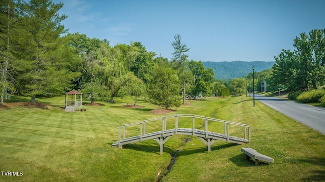 691 Willowcrest Pl, Kingsport, TN 37660 - photo 46