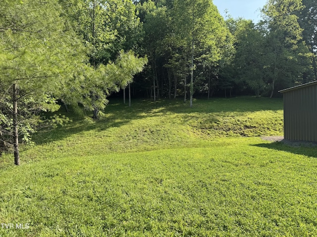 1949 Stout Branch Rd, Mountain City, TN 37683 - photo 14