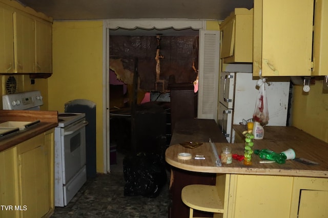 362 Rakes Ridge Rd, Birchleaf, VA 24220 - kitchen with electric stove
