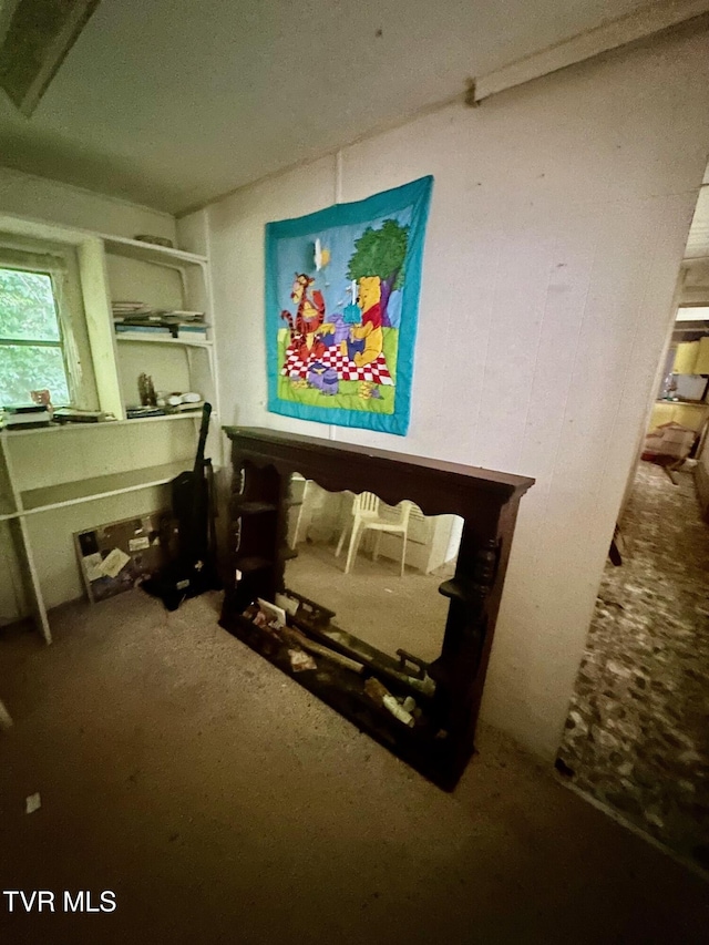 362 Rakes Ridge Rd, Birchleaf, VA 24220 - view of bedroom