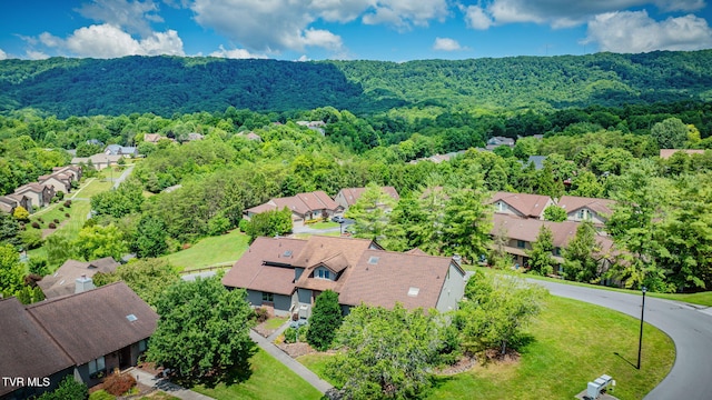 239 Willowbend Dr, Kingsport, TN 37660 - photo 38