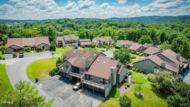 239 Willowbend Dr, Kingsport, TN 37660 - photo 39