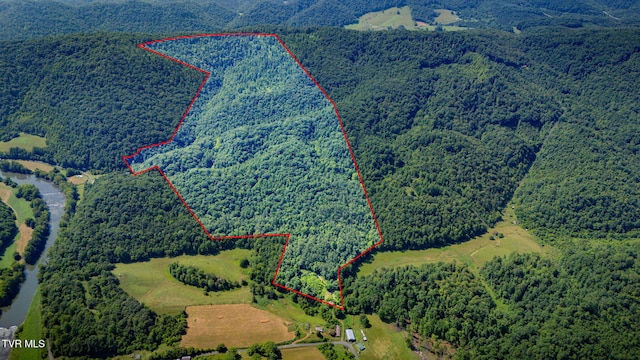 131 Gibson Hollow Rd, Eidson, TN 37731 - photo 2
