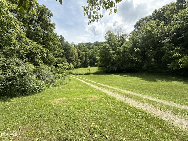 131 Gibson Hollow Rd, Eidson, TN 37731 - photo 9