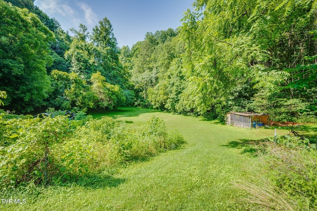 131 Gibson Hollow Rd, Eidson, TN 37731 - photo 36