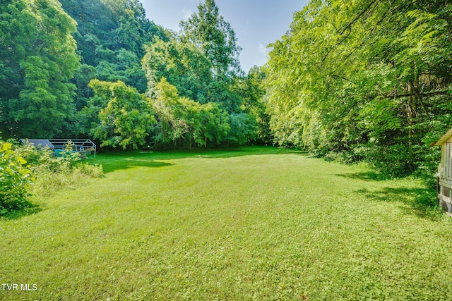 131 Gibson Hollow Rd, Eidson, TN 37731 - photo 37