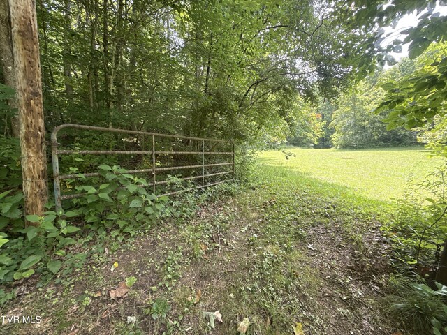 131 Gibson Hollow Rd, Eidson, TN 37731 - photo 39