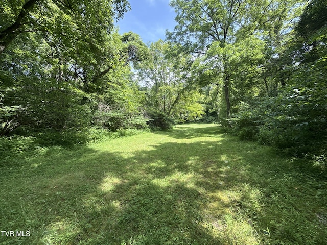 131 Gibson Hollow Rd, Eidson, TN 37731 - photo 40