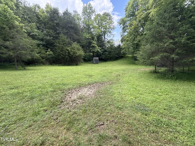 131 Gibson Hollow Rd, Eidson, TN 37731 - photo 43