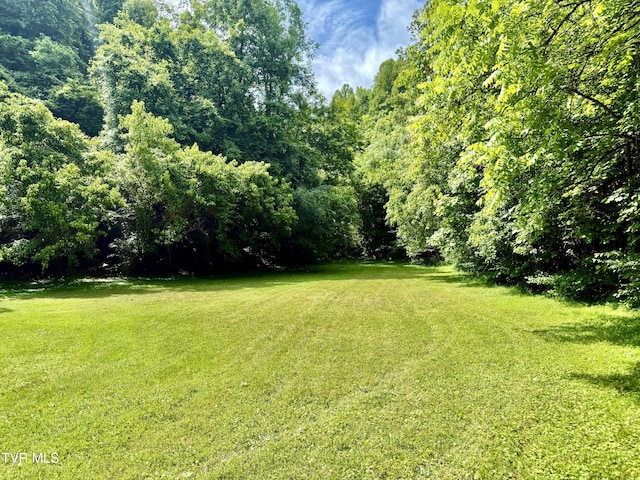 131 Gibson Hollow Rd, Eidson, TN 37731 - photo 48